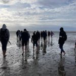 6d15dfaf-2afd-43dc-bf7a-0414de1cc3a8