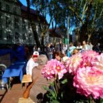 IMG_20240914_110629823_BURST000_COVER