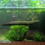 Tierpark BO 7ab 23_06_25 (6)