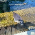 Tierpark BO 7abc 2026 (11)