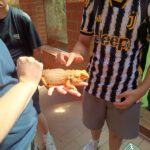 Tierpark BO 7abc 2026 (12)