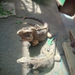 Tierpark BO 7abc 2026 (13)