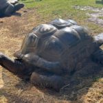 Tierpark BO 7abc 2026 (16)