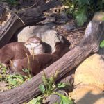 Tierpark BO 7abc 2026 (17)